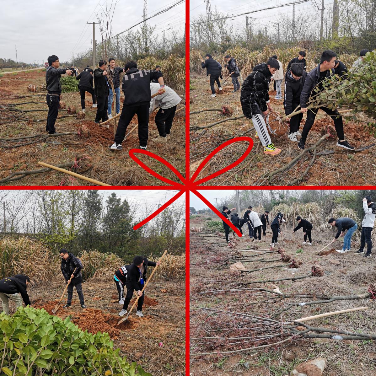南昌向遠軌道技術(shù)學校助力植樹節(jié)，彰顯向遠力量