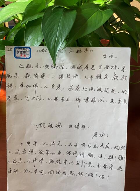南昌向遠(yuǎn)軌道技術(shù)學(xué)校順利舉辦學(xué)生硬筆書(shū)法大賽