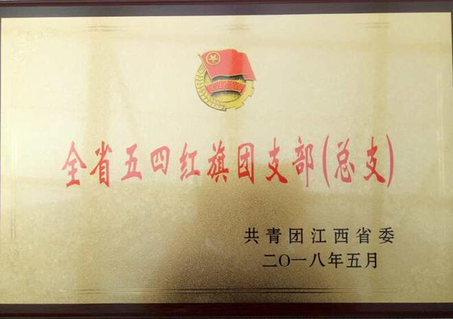 南昌向遠(yuǎn)軌道技術(shù)學(xué)校迎來(lái)“全省五四紅旗團(tuán)支部”榮譽(yù)之花的璀璨綻放